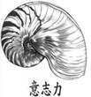 Koi Portrait Zeichnung - Nautilus Schnecke Koi Portrait Zeichnung - Nautilus Schnecke