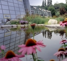 Natur Gestalten Teiche in den Garten integrieren