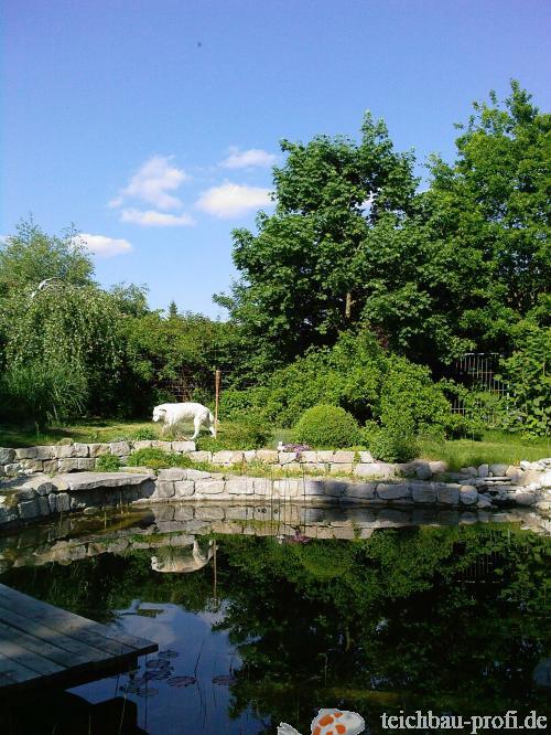 Hund am Gartenteich, Angelika Wilhelm Odelzhausen