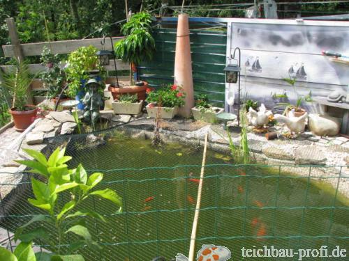 Kleiner Gartenteich von Heidi Troendle