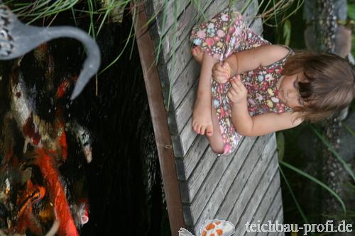 Koi füttern, Stefanie Hinmüller Koi füttern, Stefanie Hinmüller