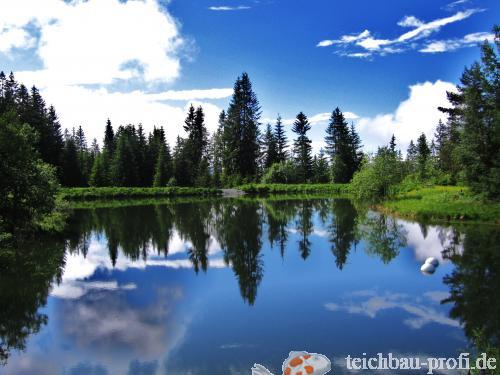 Spiegelungen im Bergteich