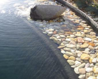 Schwimmteich von Biowaba. Sauberes Wasser durch nbFM-Filter