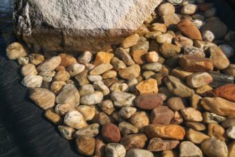 Klares Wasser im Biowaba Schwimmteich