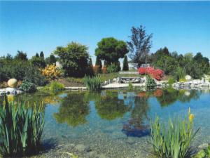 Schowteich der Aqua-Flora