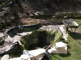 Umbau eines Gartenteichs in einen Koiteich