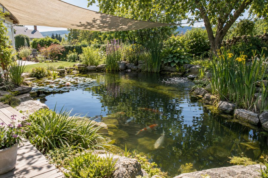 Gartenteich im Sommer mit teilweiser Beschattung, Wasserpflanzen und sanfter Belüftung
