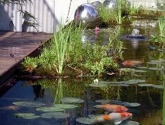 schwimmende Pflanzeninsel von Arnold Wunschgärten