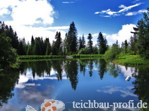 Spiegelungen im Bergteich