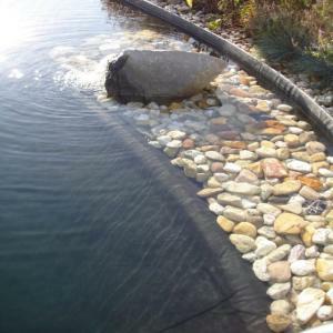 Klarer Schwimmteich von Biowaba