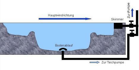 Gartenteich, Bau und Gestaltung eines Gartenteichs
